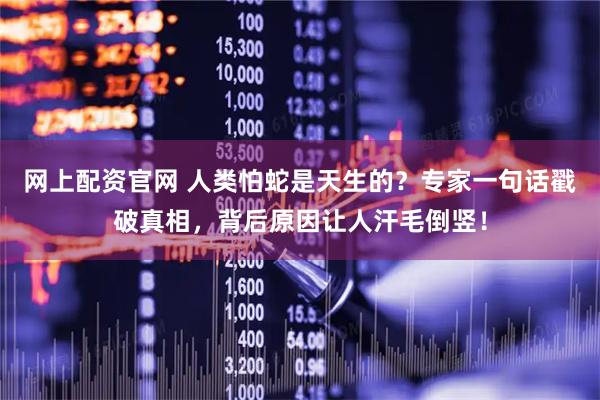网上配资官网 人类怕蛇是天生的？专家一句话戳破真相，背后原因让人汗毛倒竖！